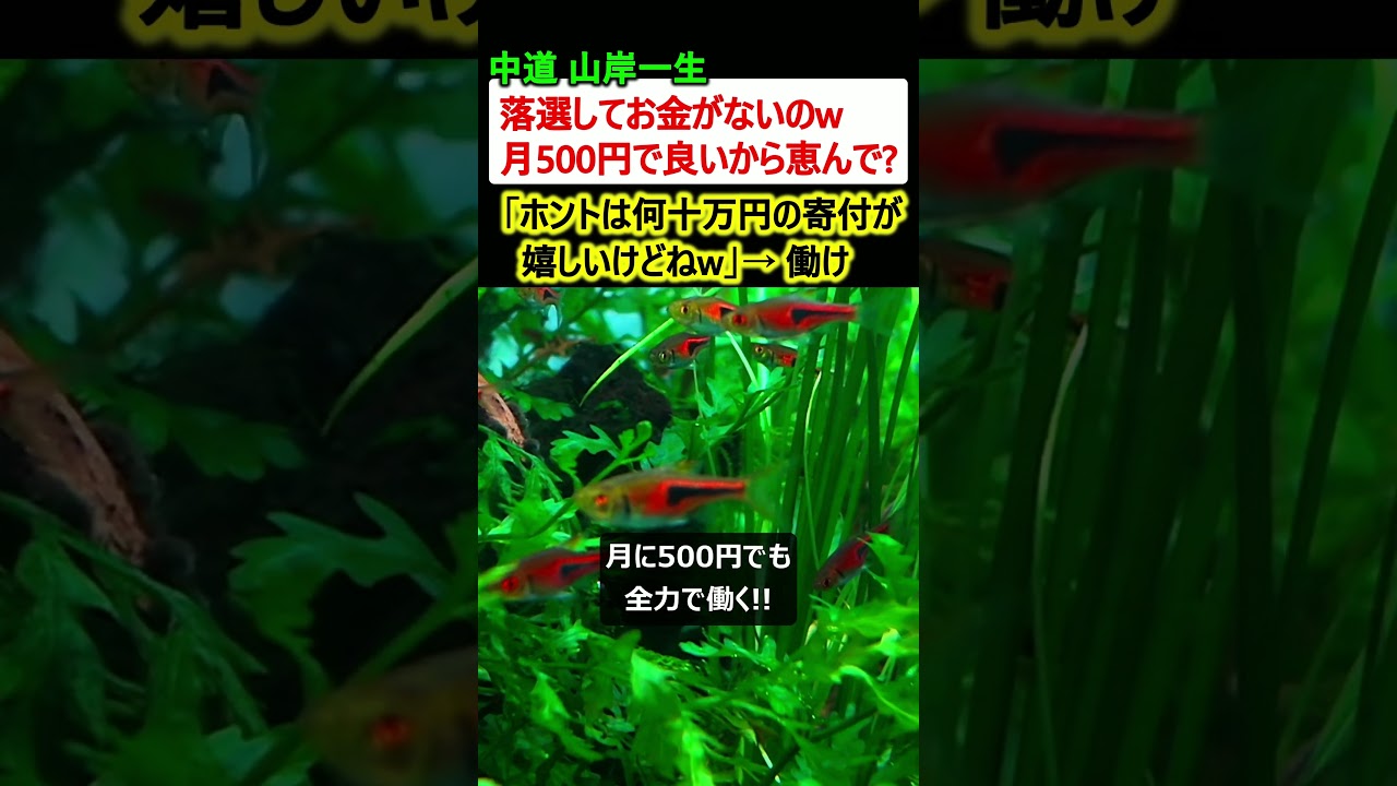 【炎上】中道 山岸一生「落選してお金がないw 月500円で良いから恵んで?」→ 働け