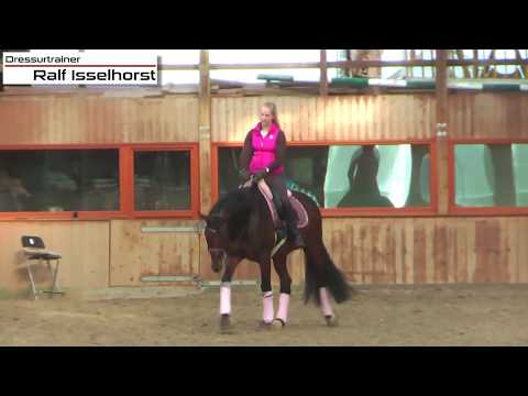 www.dressurtrainer-isselhorst.de - korrektes Zügelaufnehmen im Schritt