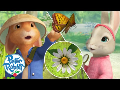 ​@OfficialPeterRabbit- #Spring Has Sprung 🌸🎵🌸 | First Butterfly of the Year! 🦋 | Cartoons for Kids