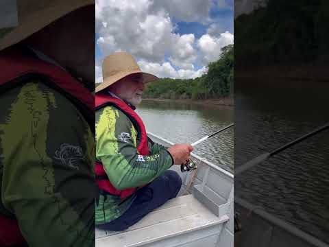 Pescaria Raiz com meu pai no Rio Tibagi Pr