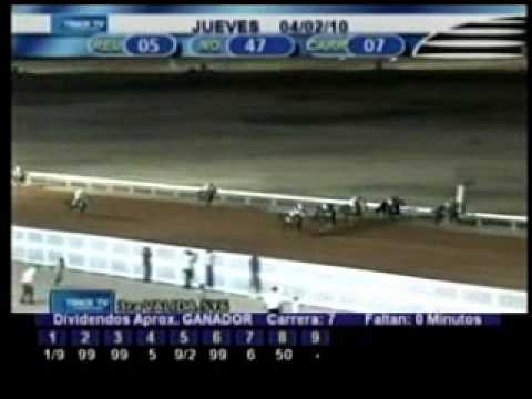 Resumen 4 de Febrero 2010 - Santa Rita