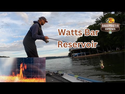 BREAKING NEWS! LIVESCOPE Bite DISAPPEARS!! (BASSMASTER OPEN)