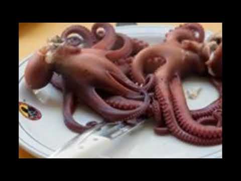 LA BETTOLA DEI MARINAI