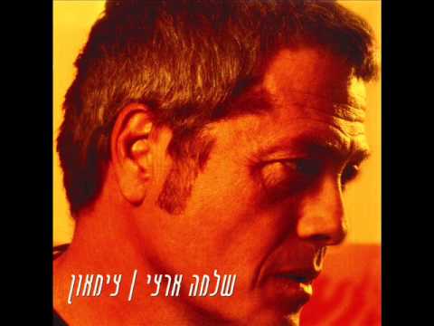 שלמה ארצי - על פי תנועת הרכבות