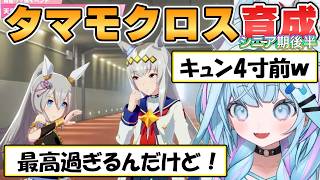 【すう】泣いたり喜んだり情緒不安定になる水宮さんと一緒にタマモクロスを育成しながらストーリーも一緒に楽しもうLAST【ホロライブ/切り抜き】