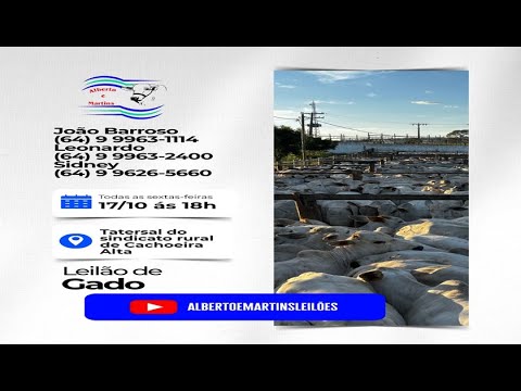 LEILÃO ALBERTO e MARTINS 17/10/2025 AS 18:00 hs em Cachoeira Alta Go.