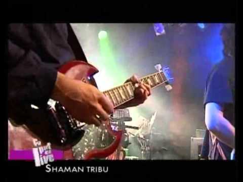 Shaman Tribu -Train de vie