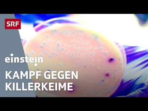 Wenn Antibiotika nicht mehr wirken – der Kampf gegen resistente Bakterien | Einstein | SRF