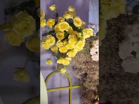 Arifa wedding 2024 Nikkah stage