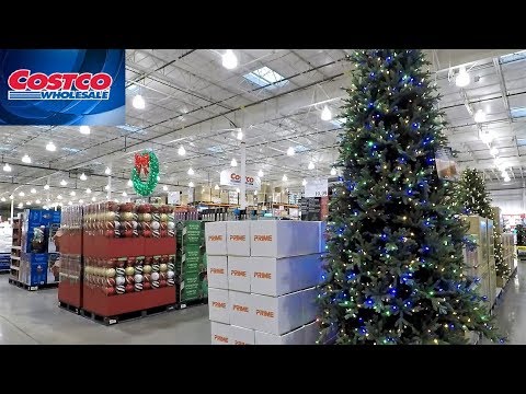 download lagu mp3 mp4 Costco Uk Christmas Trees, download lagu Costco Uk Christmas Trees gratis, unduh video klip Costco Uk Christmas Trees