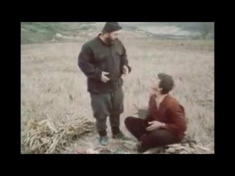 "შერეკილები" - "გევიდა გაღმა... მარილზე!" (sherekilebi)