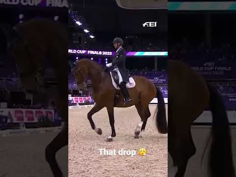 Waiting for the Drop in the Dressage arena 🎤 🥳