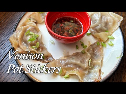 Venison Pot Stickers