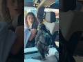 Monkey Prank On Sister ​⁠ YoMariah