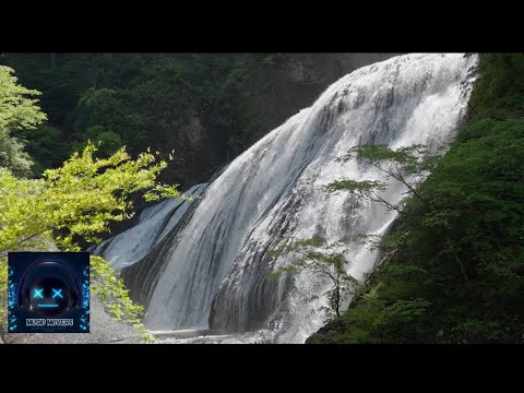 Lens & Sarah Ikumu Ft Pola & Bryson & goddard - Jungle Diva