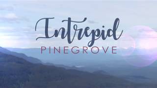 Pinegrove - Intrepid (Lyrics)