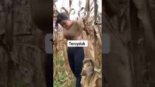 Download lagu gunung kembar besar #shorts mp3 Download lagu gunung kembar besar #shorts mp3