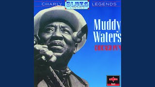 They Call Me Muddy Waters - Live
