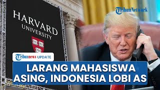 Nasib Mahasiswa WNI yang Kuliah di Harvard seusai Trump Buat Larangan, Indonesia Langsung Lobi AS