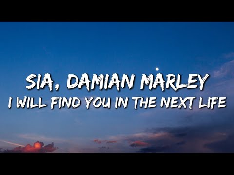 Sia ft Post Malone ft Damian Marley - I Will Find You in the Next Life (Lyrics)