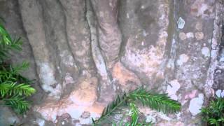 Roman Panel Abbotsford House Near Melrose Roxburghshire Scottish Borders Scotland
