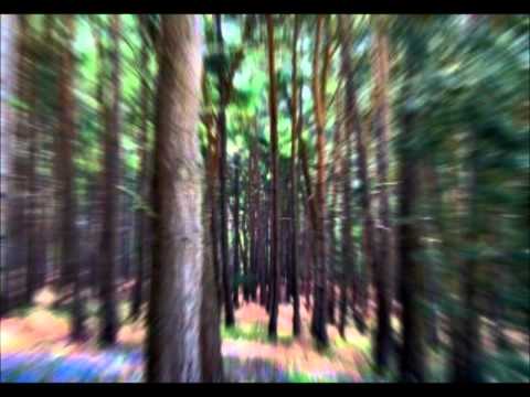 CinderVOMIT feat. Dark Whisper & Luuli - The Spirit of The Forest