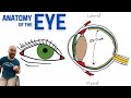 Anatomy Of The Eye