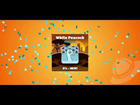 Peacock Blook