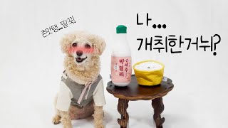 캣닢ㆍ마따따비