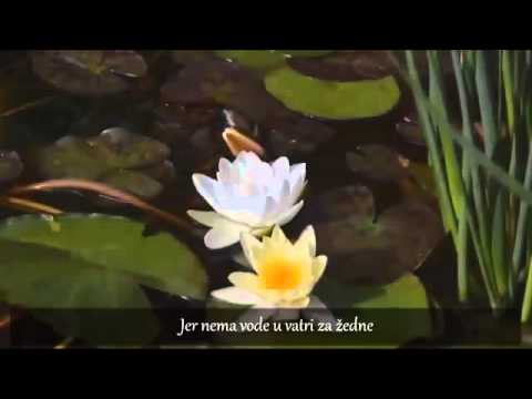 Pusti neka dani prolaze | Imam Šafija