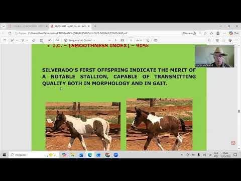 Program Haras Calili  - Selection of Tobiano Coat Color in the Mangalarga Marchador Breed