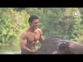 Junglee Training To Be Junglee Vidyut Jammwal 720P HD Junglee Trailer