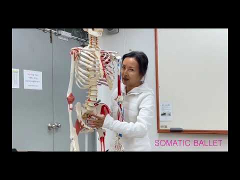 SOMATIC BALLETⓇ PEDAGOGY WORKSHOP 1-6