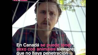Download lagu Canadá aprueba las relaciones sexuales con animales - CABROWORLD mp3 Download lagu Canadá aprueba las relaciones sexuales con animales - CABROWORLD mp3
