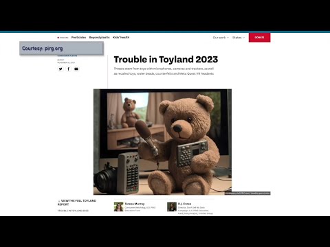 CT Trouble In Toyland Report For 2023
