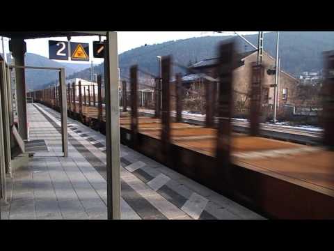 Güterzug in Lambrecht