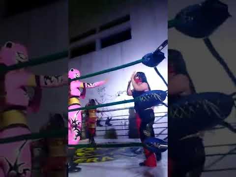Baby Love & Lady Puma vs Perla Negra & Queen Panther [Ford Social De La Ceavez