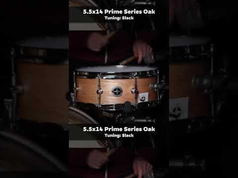 BUCKS COUNTY DRUM COMPANY 5.5X14 8-PLY OAK SNARE DRUM #SHORTS