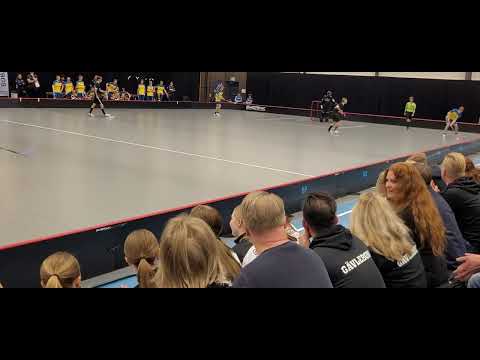 230105 SDF-SM 💥💯🏑👍👏P16 Period 1 Gävleborg - Västsvenska Rosvalla B-Hall