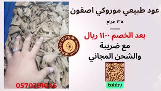 عود طبيعي موروكي اصقون [2329]