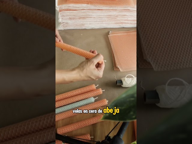 Vídeo relacionado con Velas de Miel de Abeja.Natural 100% Velas de Cera de Abeja. Pura (Pack de 30 Velas,11,5 cm x 1 cm) SIN PARAFINA 100% artesanal,Origen ESPAÑA en la Sierra de La Culebra y Sanabria (Zamora)
