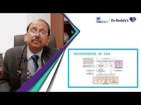 Early Detection and Screening of Chronic Kidney Disease