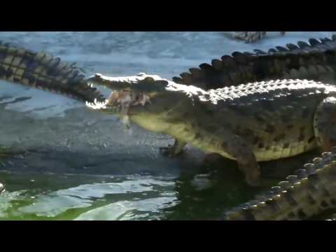 Welcome to Mozambique second largest city BEIRA