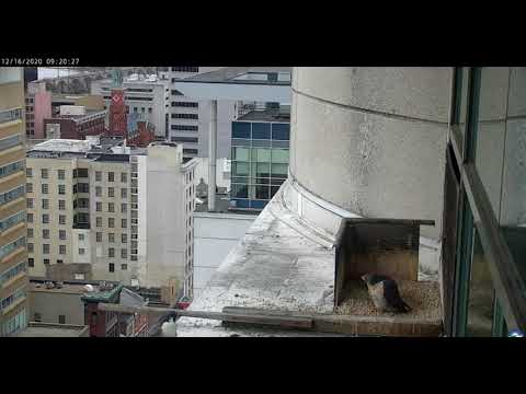 Harrisburg PA. Niecey & Male(?) 2020 12 16 152341