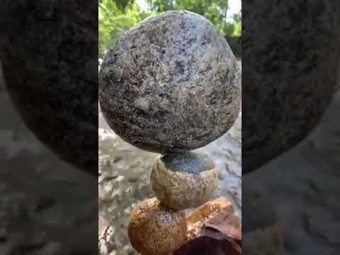 HOW CENTER OF GRAVITY WORKS: INCREDIBLE NATURE