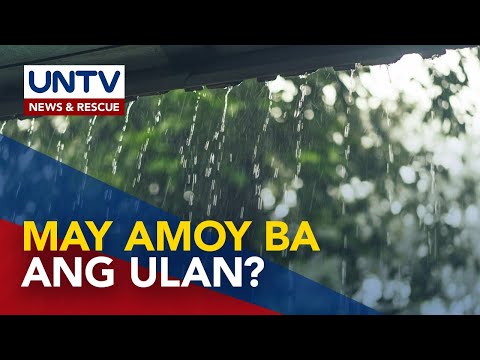 ALAMIN: May mga tao bang nakakaamoy ng paparating na ulan?