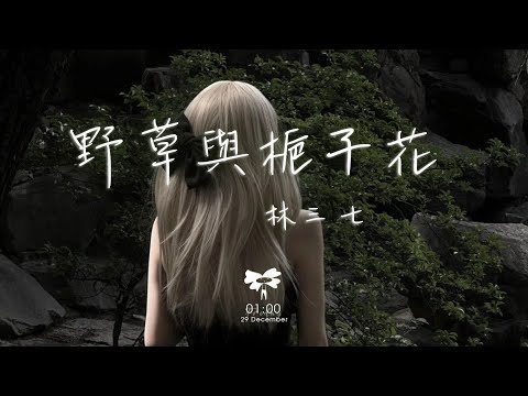 林三七 - 野草與梔子花「枯萎的野草 怎配得上梔子花 在冬夜的我 留不住你的初夏」【動態歌詞】♪