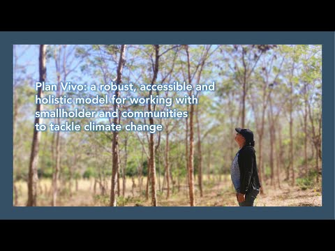 Plan Vivo: a robust, accessible and holistic model for working with smallholder and communities