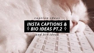 Ultimate Supply Of Instagram Bio And Captions // Pt.2