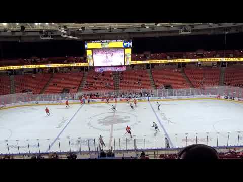 Greenville Swamp Rabbits vs Worcester Railers #hockey #swamprabbits #echl